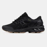 Asics Gel-Kayano 27 Black Gum Gore-Tex