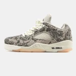 Nike Air Jordan 5 Expressions
