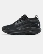 Nike Pegasus Trail 5 GTX Gore-Tex Black