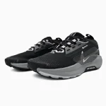Nike Zoom Pegasus Trail 5 GTX Gore-Tex Black Grey - Зображення 2