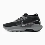 Nike Zoom Pegasus Trail 5 GTX Gore-Tex Black Grey