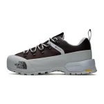The North Face Glenclyffe Low GTX  Brown Grey Termo