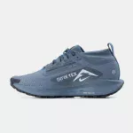 Nike Pegasus Trail 5 GTX Gore-Tex Blue